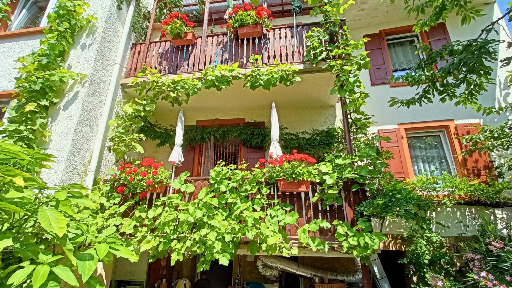Urlaub Mit Charme In Der Kleinsten Stadt Der Pfalz. Obermoschel Dış mekan fotoğraf