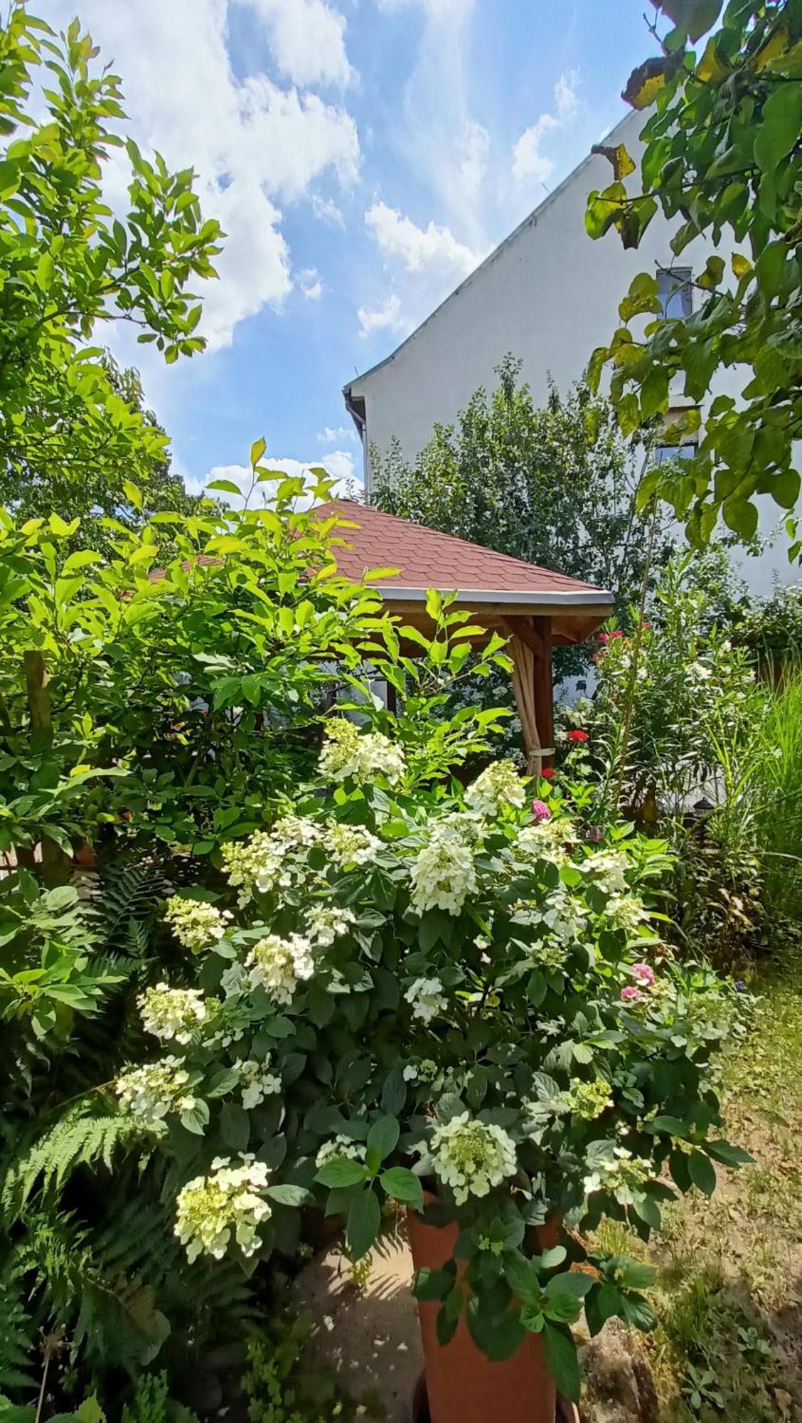 Urlaub Mit Charme In Der Kleinsten Stadt Der Pfalz. Obermoschel Dış mekan fotoğraf