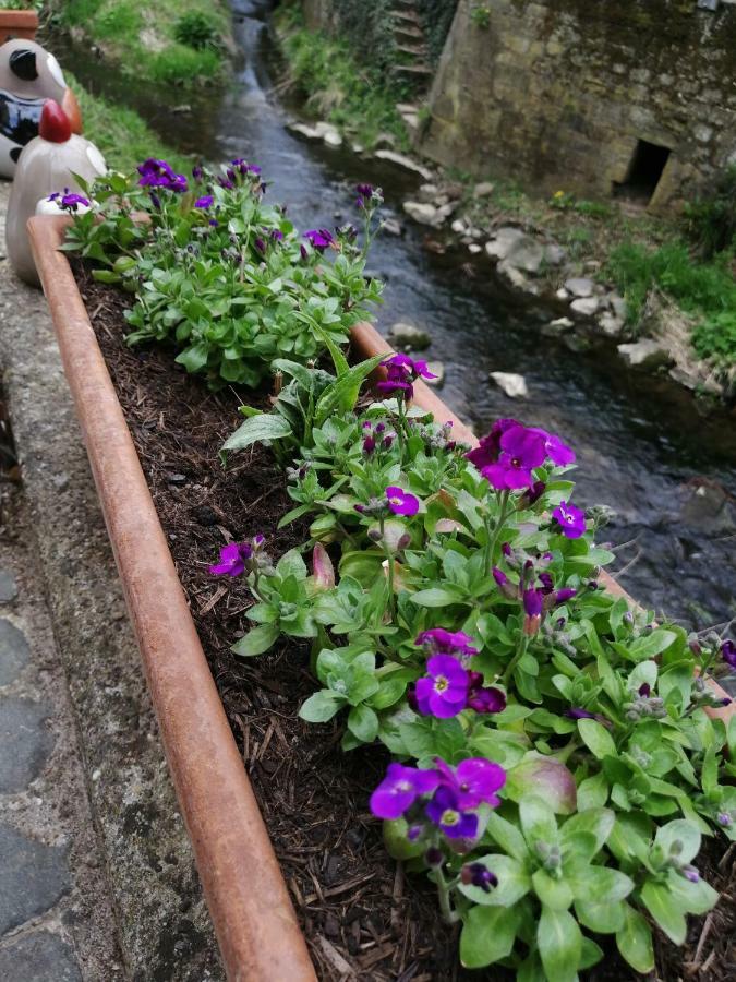 Urlaub Mit Charme In Der Kleinsten Stadt Der Pfalz. Obermoschel Dış mekan fotoğraf